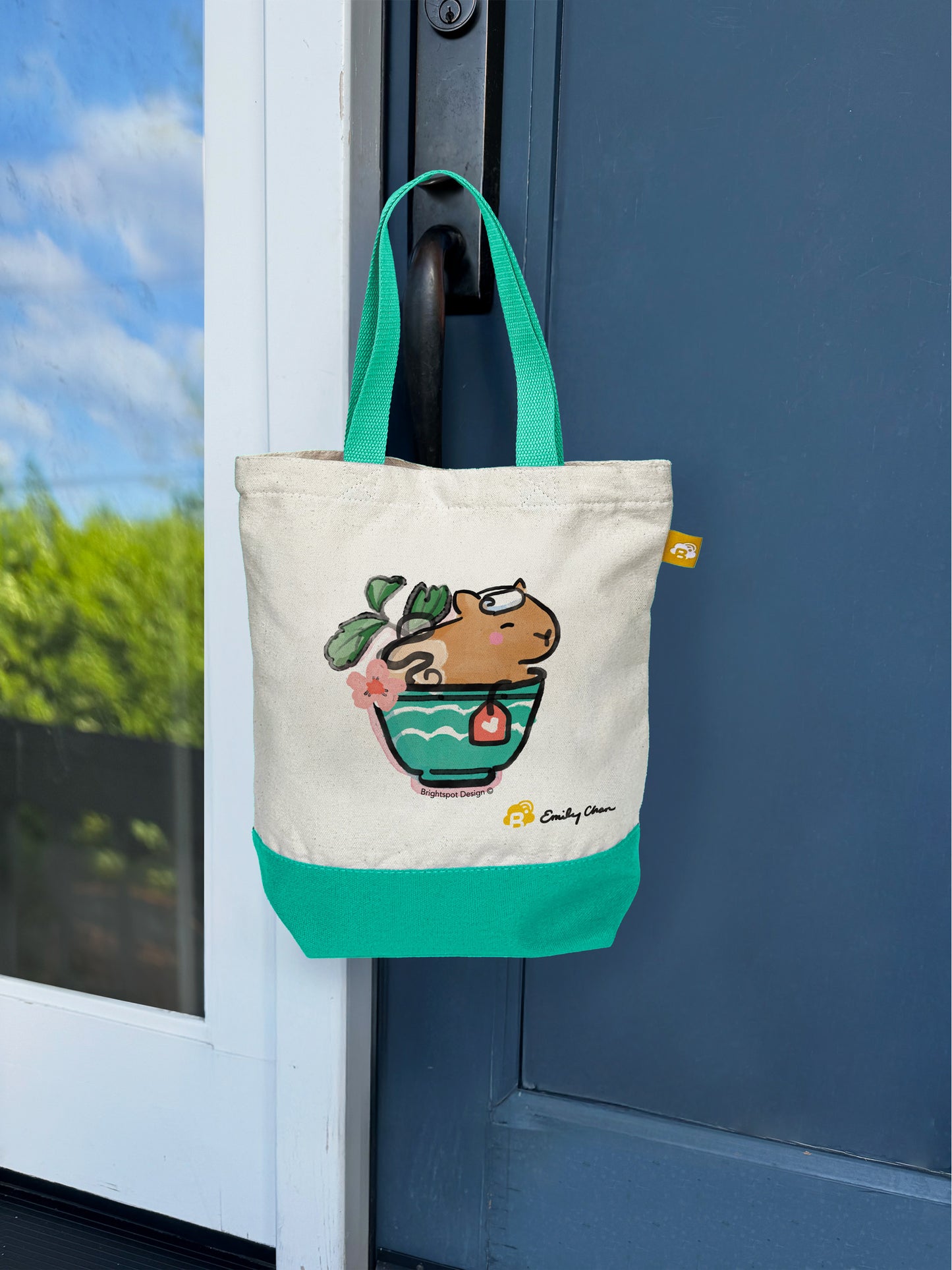 Capybara Spring Gift Set